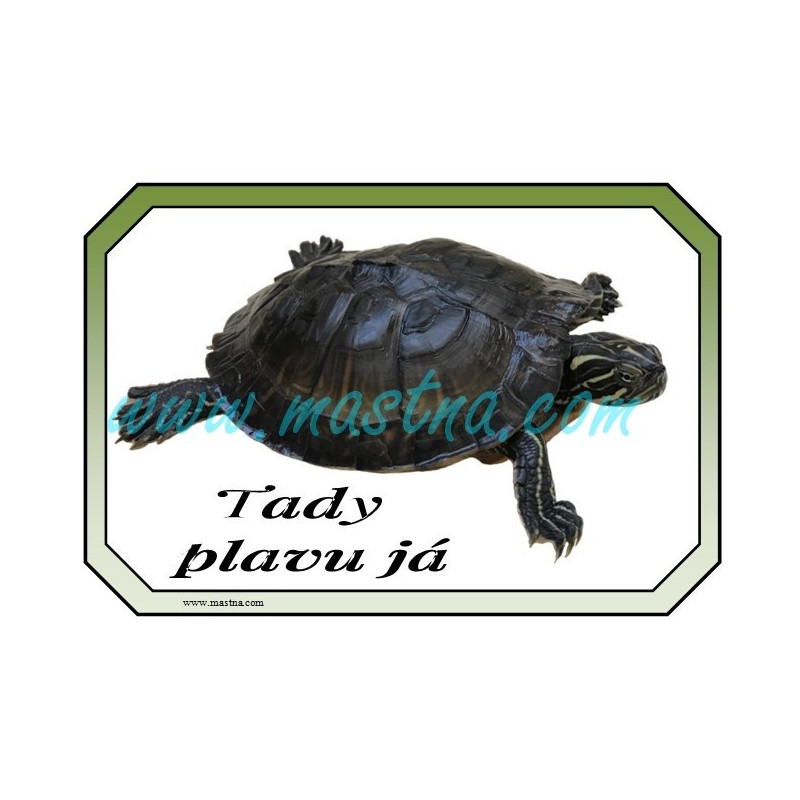 Cedulka želva vodní