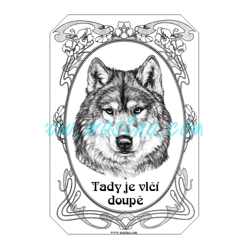 Cedulka vlk, vlčák, wolf