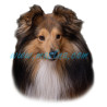 Samolepka sheltie, šeltie