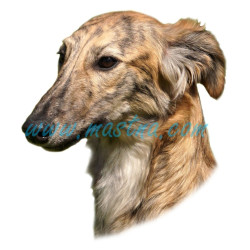 Samolepka vipet dlouhosrstý