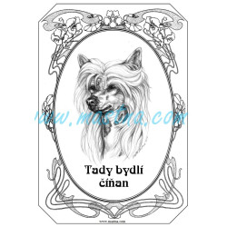 Tabulka čínský chocholatý pes