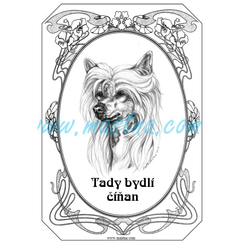 Tabulka čínský chocholatý pes