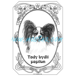 Tabulka papilon - motýlek