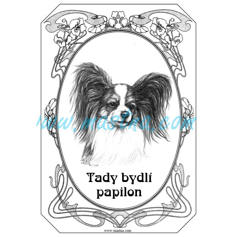 Tabulka papilon - motýlek