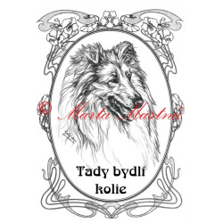Tabulka skotský ovčák - kolie