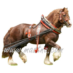 Samolepka českomoravský belgik Agar, chladnokrevník, kůň, koně