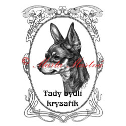 Tabulka pražský krysařík