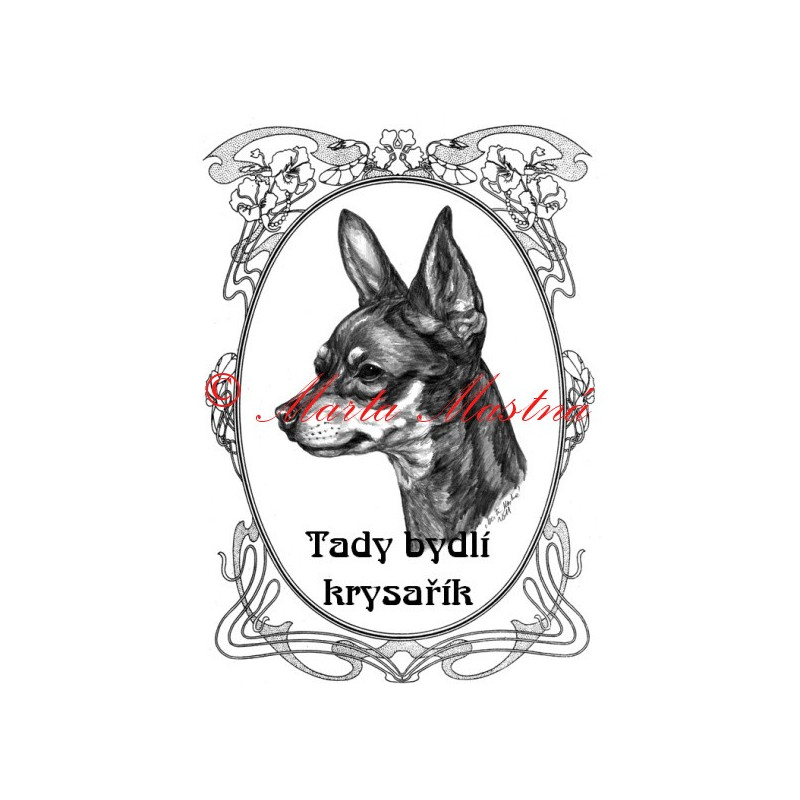 Tabulka pražský krysařík