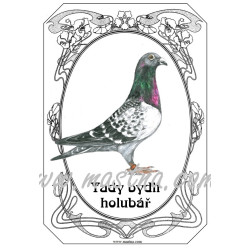 Tabulka holub poštovní