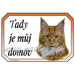 Cedulka kočka maine coon, mainská