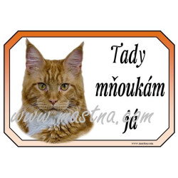 Cedulka kočka maine coon, mainská