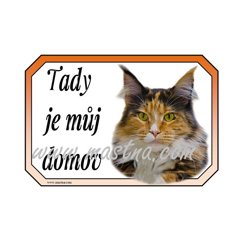 Cedulka kočka maine coon, mainská