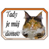 Cedulka kočka maine coon, mainská
