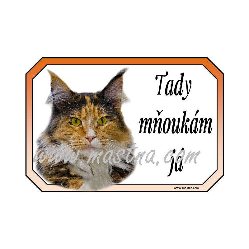 Cedulka kočka maine coon, mainská