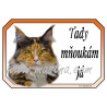 Cedulka kočka maine coon, mainská