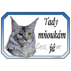 Cedulka kočka maine coon, mainská
