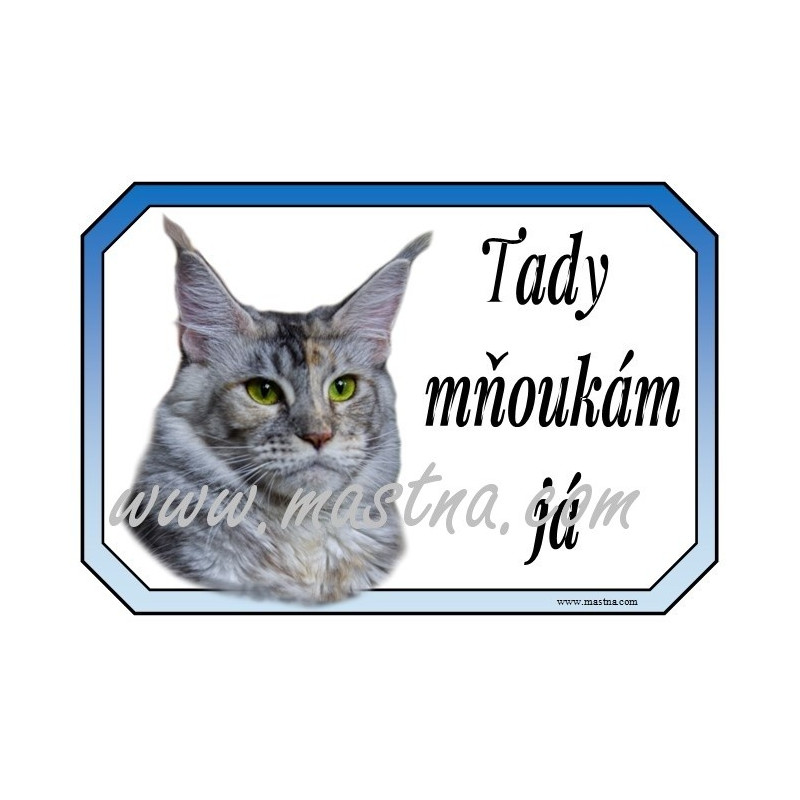 Cedulka kočka maine coon, mainská