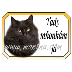 Cedulka kočka dlouhosrstá