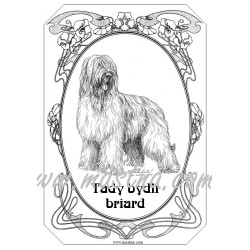 Tabulka francouzský ovčák briard