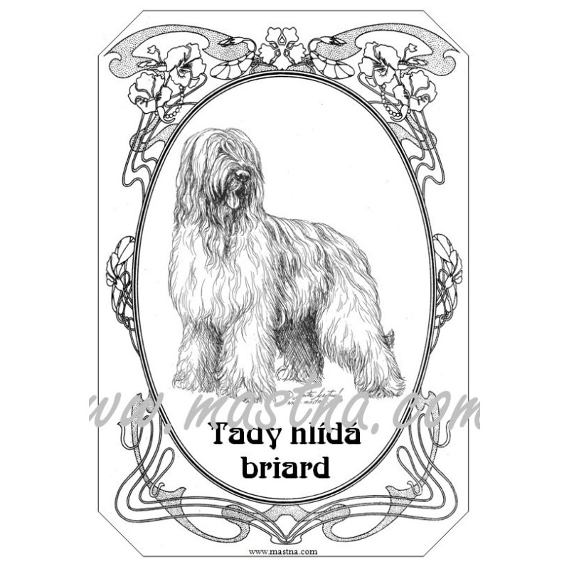 Tabulka francouzský ovčák briard