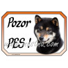 Cedulka šiba, shiba inu černá