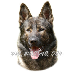 Samolepka německý ovčák