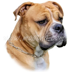 Samolepka buldok kontinentální