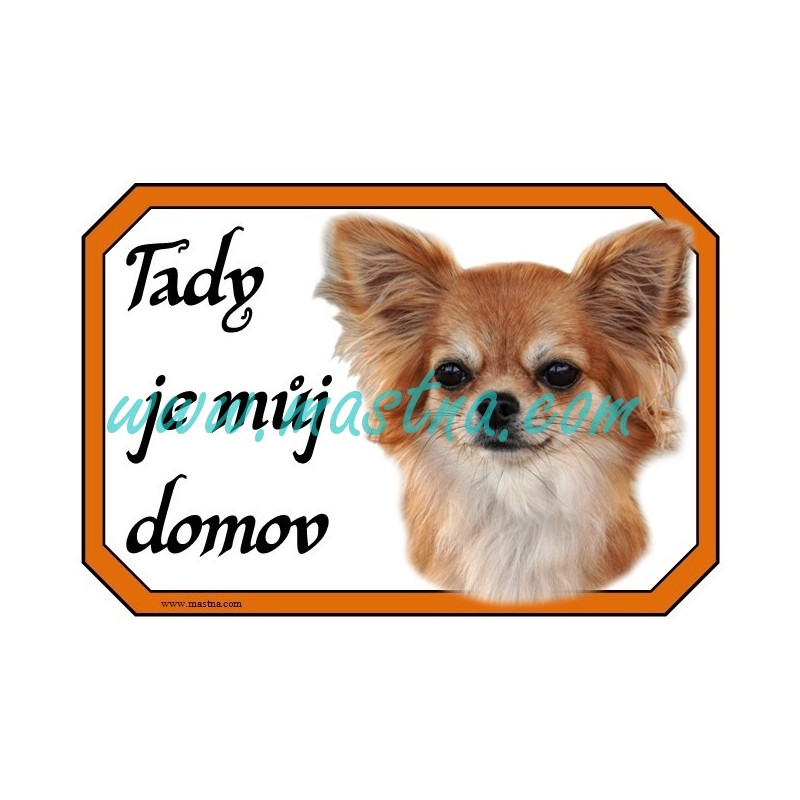 Cedulka čivava, chihuahua