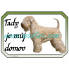 Cedulka pšeničný teriér, soft coated wheaten terier