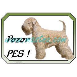 Cedulka pšeničný teriér, soft coated wheaten terier