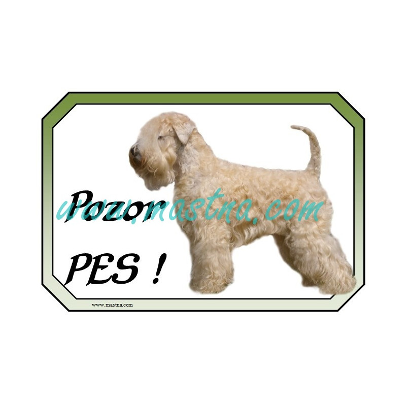 Cedulka pšeničný teriér, soft coated wheaten terier