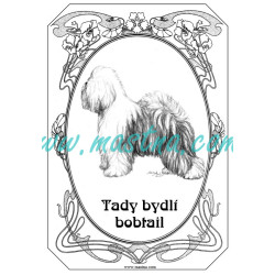 Cedulka bobtail - staroanglický ovčák secesní 2