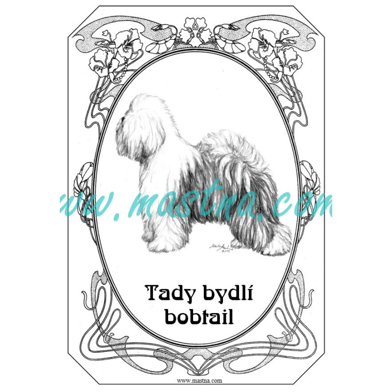 Cedulka bobtail - staroanglický ovčák secesní 2