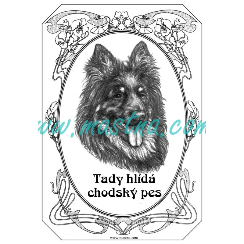 Cedulka chodský pes ovál 3