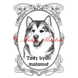 Tabulka aljašský malamut