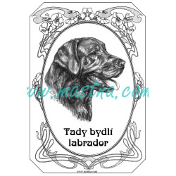 Cedulka labradorský retrívr ovál 2