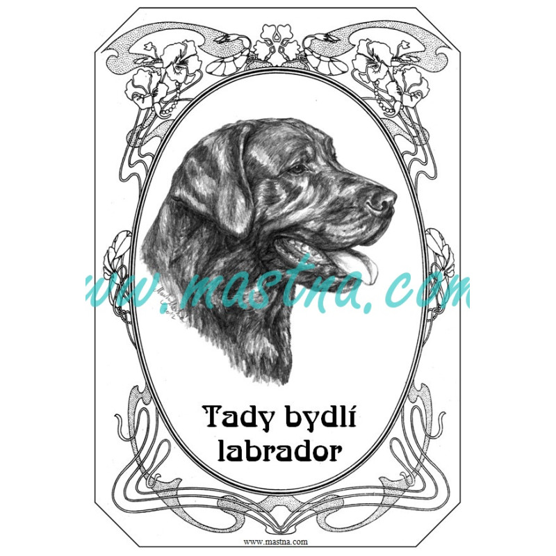 Cedulka labradorský retrívr ovál 2