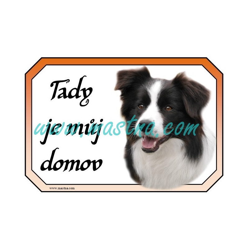 Cedulka border kolie