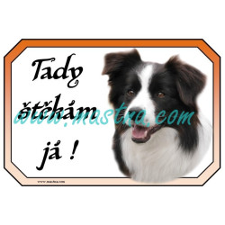 Cedulka border kolie štěkám 2
