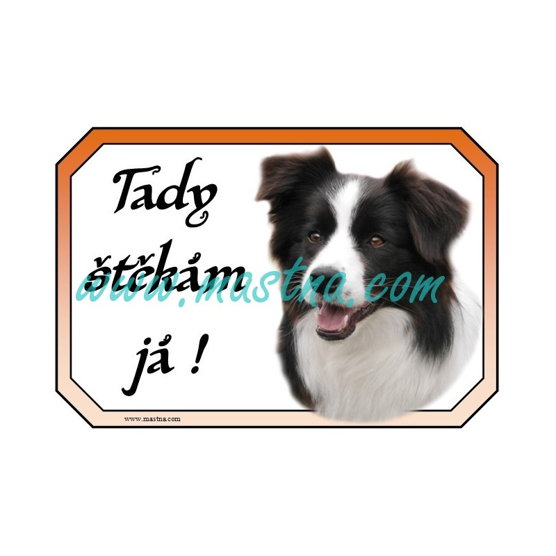 Cedulka border kolie štěkám 2