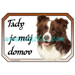 Cedulka border kolie