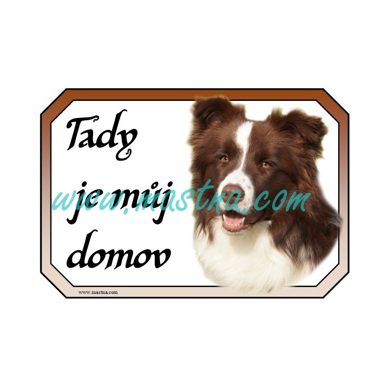 Cedulka border kolie