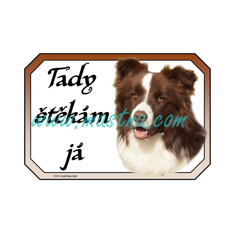 Cedulka border kolie