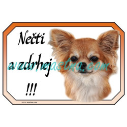 Cedulka čivava, chihuahua