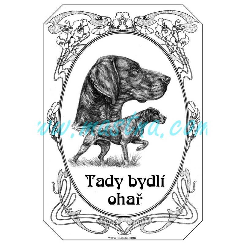 Cedulka ohař německý krátkosrstý