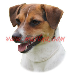 Samolepka dánsko - švédský selský pes - fena 151