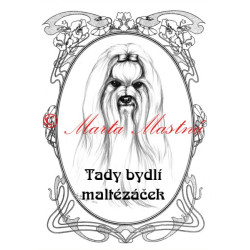 Tabulka maltézský psík