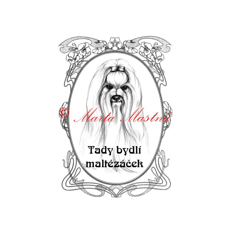 Tabulka maltézský psík