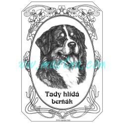 Tabulka bernský salašnický pes