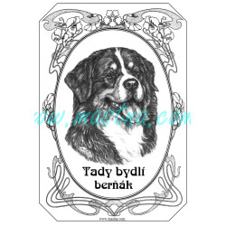 Cedulka bernský salašnický pes secesní